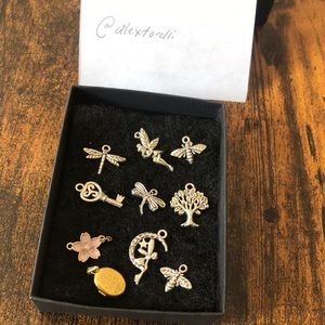 Box of lil charms + gold locket 2/$15